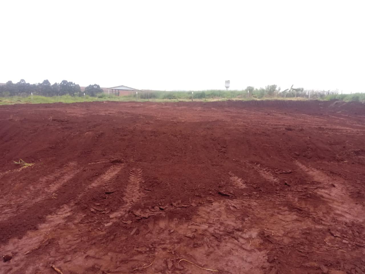 WhatsApp Image 2025-09-09 at 00.02.08 (2).jpeg