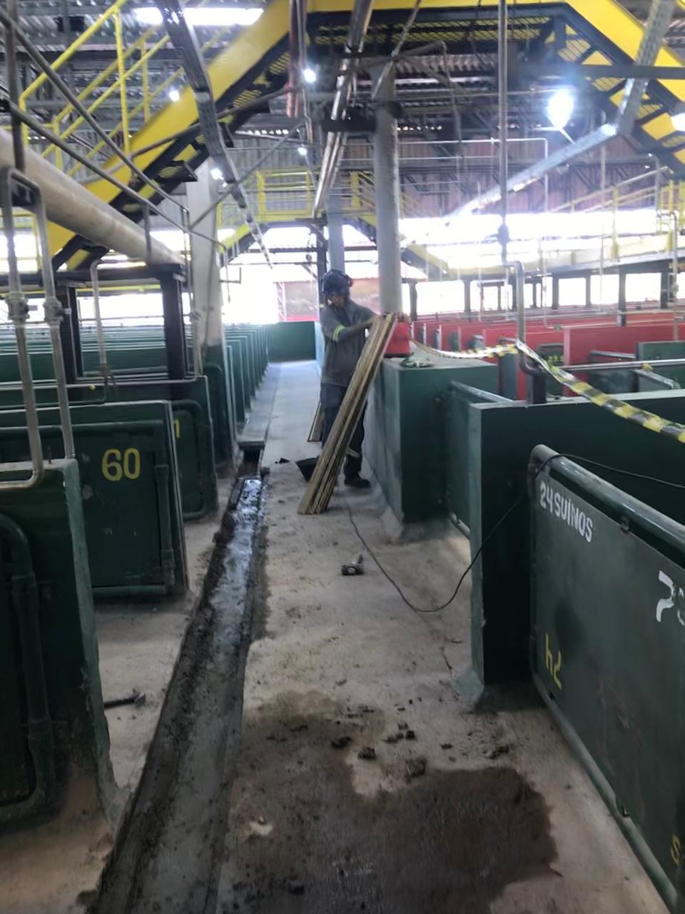 WhatsApp Image 2025-09-10 at 04.06.14.jpeg