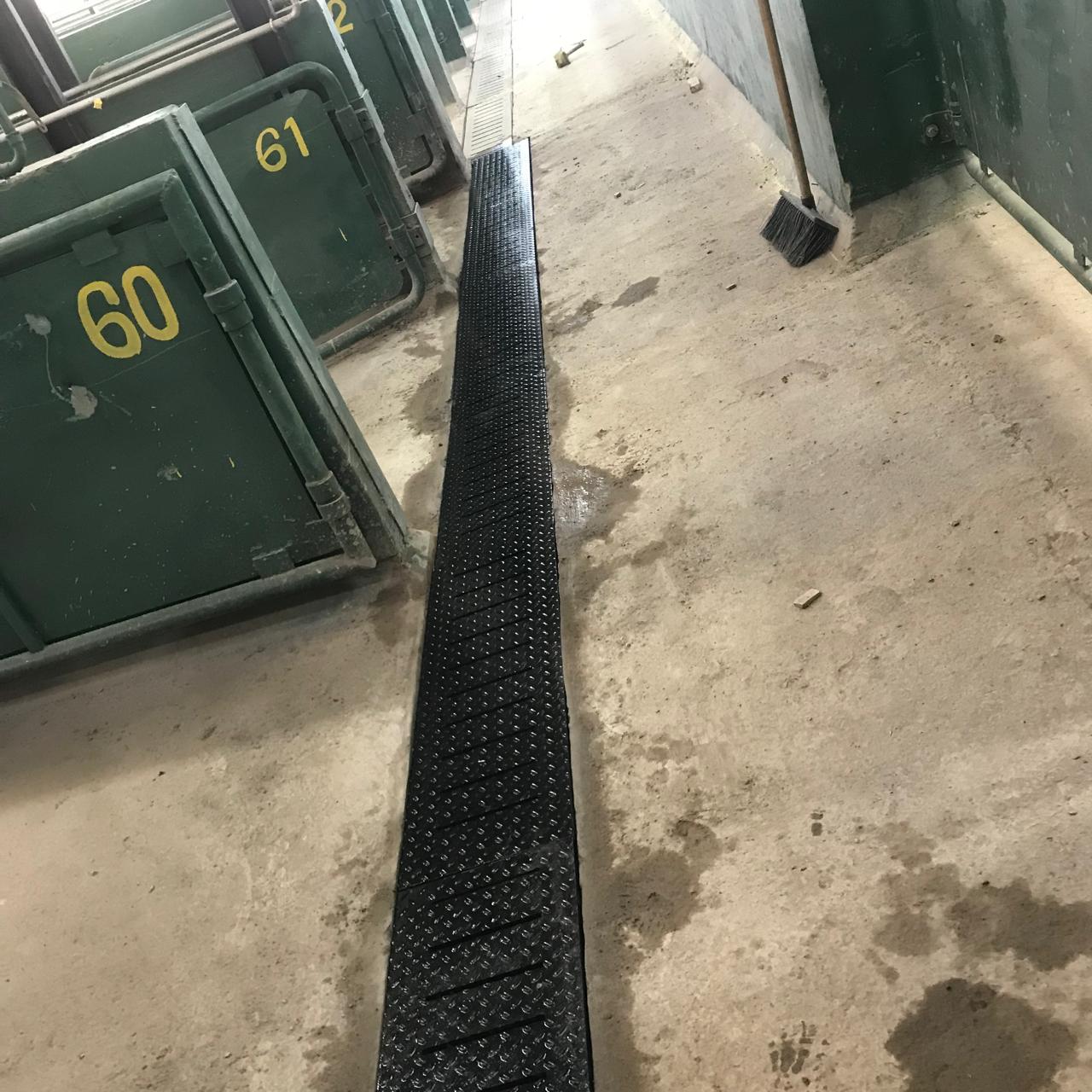 WhatsApp Image 2025-09-10 at 04.05.20 (1).jpeg