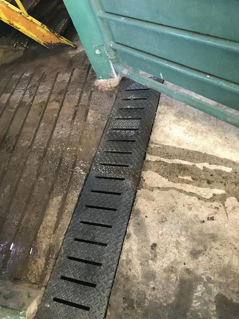 WhatsApp Image 2025-09-10 at 04.08.16.jpeg