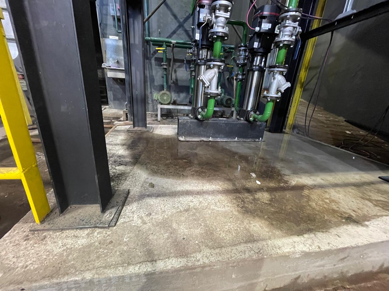 WhatsApp Image 2025-09-09 at 03.26.16.jpeg