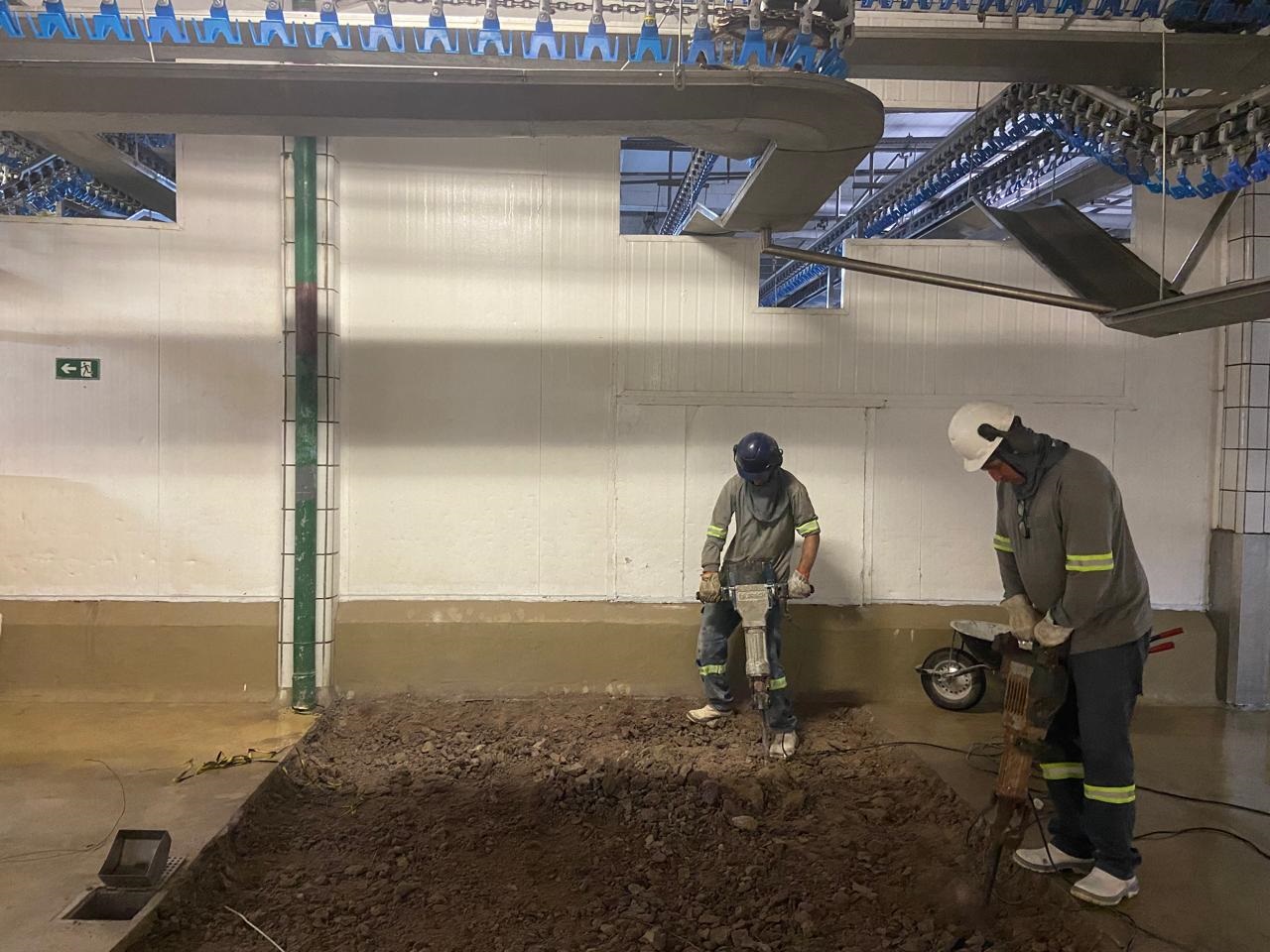 WhatsApp Image 2025-09-10 at 04.55.25 (6).jpeg