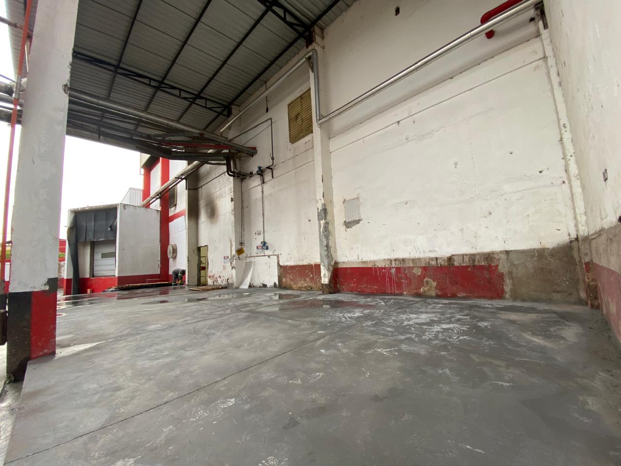 WhatsApp Image 2025-09-10 at 02.51.35 (2).jpeg